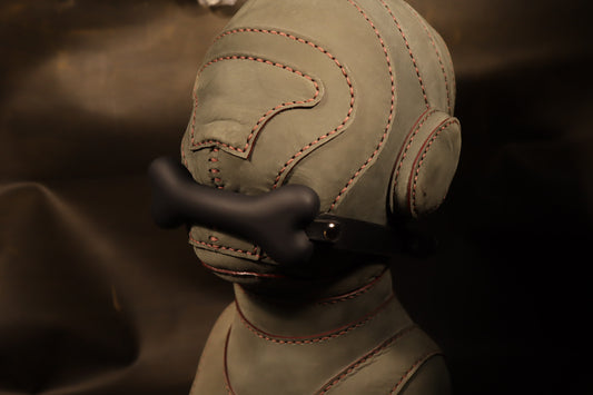 Gag Ball - Bone shaped