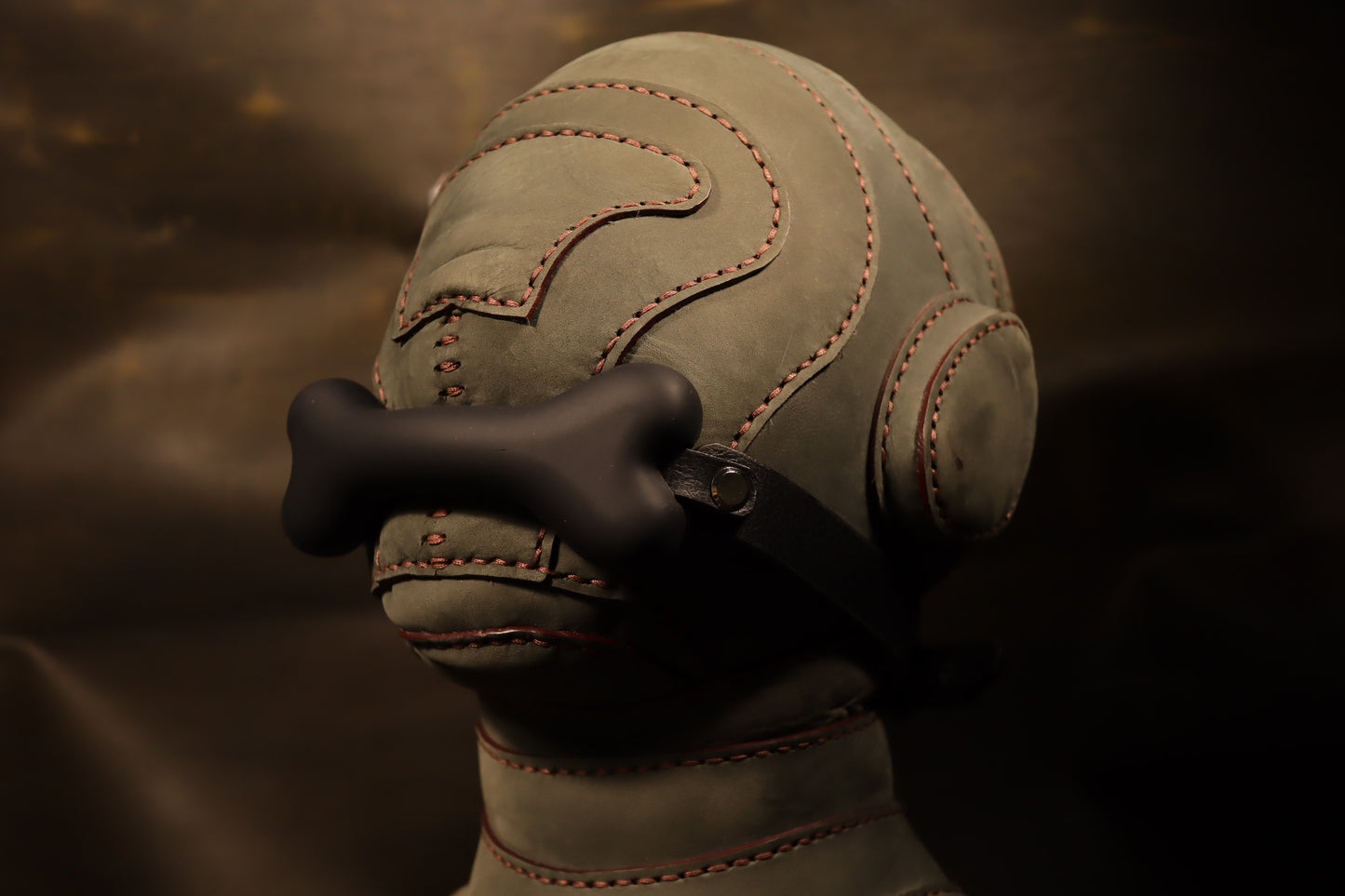 Gag Ball - Bone shaped